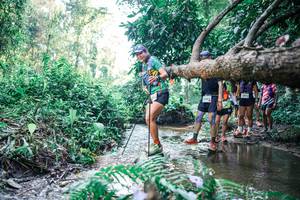 BIB: 
                            <button type="button" onclick="openModal(25444838)" class="btn btn-primary btn-sm float-right btn-popup" data-toggle="modal" data-target=".modal-high-quality">
                        <i class="fas fa-shopping-cart"></i> Add to Cart
                    </button>
                                            <button type="button" onclick="isThisMe(25444838, true)" class="btn btn-success btn-sm float-right btn-popup btn-isme hidden" data-toggle="tooltip" data-placement="bottom" title="นี่คือรูปของคุณใช่ไหม คลิกที่นี่เพื่อเอาเข้าอัลบั้ม">
                        <i class="fas fa-plus"></i> Add to album
                    </button>
                    <button type="button" onclick="isThisMe(25444838, false)" class="btn btn-warning btn-sm float-right btn-popup btn-isnotme hidden">
                        <i class="fas fa-ban"></i> Remove from album
                    </button>